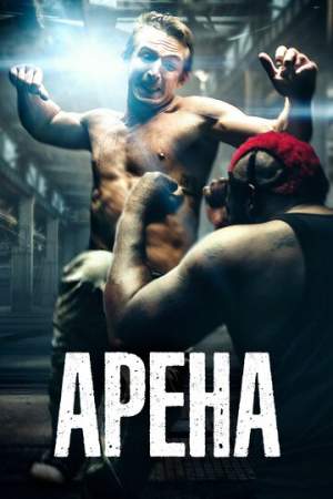 Арена онлайн