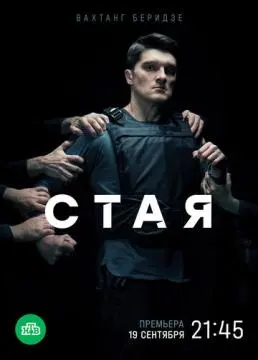 Стая онлайн
