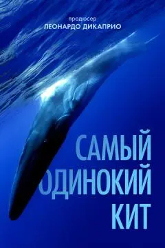 Самый одинокий кит онлайн