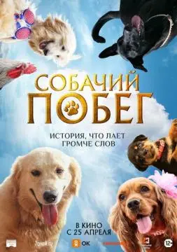 Собачий побег онлайн