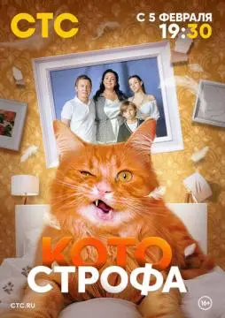 Котострофа онлайн